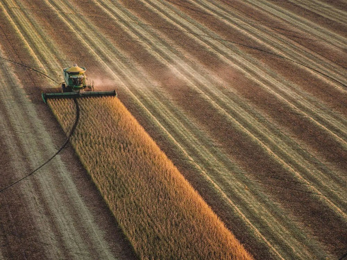 Agriculture & Natural Resources